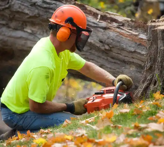 tree services Le Center